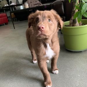 Meet your Posher, Nick